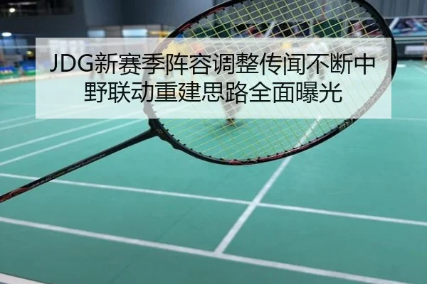 JDG新赛季阵容调整传闻不断中野联动重建思路全面曝光
